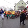 Bild: Partybilder der Party: Ringtreffen VFON 2015 in Altshausen - Umzug am 25.01.2015 in DE | Baden-Wrttemberg | Ravensburg | Altshausen