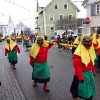 BinPartyGeil.de Fotos - Ringtreffen VFON 2015 in Altshausen - Umzug am 25.01.2015 in DE-Altshausen