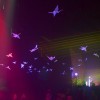 Bild: Partybilder der Party: Vgel(n) mit Freunden im Rostocker Exil am 24.01.2015 in DE | Mecklenburg-Vorpommern | Rostock | Rostock