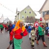 Bild: Partybilder der Party: Ringtreffen VFON 2015 in Altshausen - Umzug am 25.01.2015 in DE | Baden-Wrttemberg | Ravensburg | Altshausen