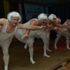 Bild: Partybilder der Party: 20-Jhriges Jubilum Narrenverein Seeschrttala Oggelshausen am 23.01.2015 in DE | Baden-Wrttemberg | Biberach | Oggelshausen
