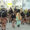 Bild: Partybilder der Party:  Hausfasnetsumzug  der NZ Moorochs am 17.02.2015 in DE | Baden-Württemberg | Biberach | Bad Buchau