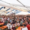 Bild: Partybilder der Party: DORFROCKER in Rottenacker am 29.05.2015 in DE | Baden-Wrttemberg | Alb-Donau-Kreis | Rottenacker