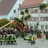 Bild: Partybilder der Party: Maibaumstellen in Bad Buchau am 30.04.2015 in DE | Baden-Wrttemberg | Biberach | Bad Buchau