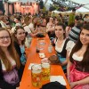 Bild: Partybilder der Party: DORFROCKER in Rottenacker am 29.05.2015 in DE | Baden-Wrttemberg | Alb-Donau-Kreis | Rottenacker