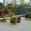Bild: Partybilder der Party: Maibaumstellen in Bad Buchau am 30.04.2015 in DE | Baden-Wrttemberg | Biberach | Bad Buchau