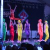 Bild: Partybilder der Party: Pfingstfest Griesingen 2015 - Showtanzabend am 24.05.2015 in DE | Baden-Wrttemberg | Alb-Donau-Kreis | Griesingen