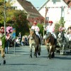 Bild: Partybilder der Party: SCHUSSENRIEDER  Oktoberfest "Fuhrmannstag" am 03.10.2015 in DE | Baden-Wrttemberg | Biberach | Bad Schussenried