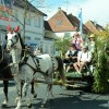 Bild: Partybilder der Party: SCHUSSENRIEDER  Oktoberfest "Fuhrmannstag" am 03.10.2015 in DE | Baden-Wrttemberg | Biberach | Bad Schussenried