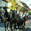 Bild: Partybilder der Party: SCHUSSENRIEDER  Oktoberfest "Fuhrmannstag" am 03.10.2015 in DE | Baden-Wrttemberg | Biberach | Bad Schussenried