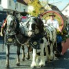 Bild: Partybilder der Party: SCHUSSENRIEDER  Oktoberfest "Fuhrmannstag" am 03.10.2015 in DE | Baden-Wrttemberg | Biberach | Bad Schussenried