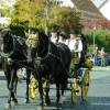 Bild: Partybilder der Party: SCHUSSENRIEDER  Oktoberfest "Fuhrmannstag" am 03.10.2015 in DE | Baden-Wrttemberg | Biberach | Bad Schussenried