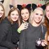 Bild: Partybilder der Party: Nachtumzug Allmendingen 2016 - Halle + Zelt am 30.01.2016 in DE | Baden-Wrttemberg | Alb-Donau-Kreis | Allmendingen