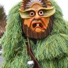 Bild: Partybilder der Party: Umzug Schemmerhofen am 24.01.2016 in DE | Baden-Wrttemberg | Biberach | Schemmerhofen