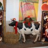 Bild: Partybilder der Party: LOVE IS IN THE AIR ....DEUTSCHLANDS GRÖßTE SINGLE PARTY am 13.02.2016 in DE | Niedersachsen | Leer | Leer