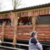 BinPartyGeil.de Fotos - Karneval Bawinkel 2016 am 06.02.2016 in DE-Bawinkel