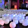 Bild/Pic: Partybilder der Party: MV liebt Party #7 Rostock / Party in WEI - am Sa 16.04.2016 in Landkreis/Region Rostock | Ort/Stadt Rostock