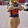 Bild/Pic: Partybilder der Party: Rostock Griffins vs. Tollense Sharks - am So 08.05.2016 in Landkreis/Region Rostock | Ort/Stadt Rostock