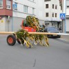 Bild: Partybilder der Party: Maibaumstellen in Bad Buchau am 30.04.2016 in DE | Baden-Wrttemberg | Biberach | Bad Buchau