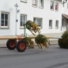 Bild: Partybilder der Party: Maibaumstellen in Bad Buchau am 30.04.2016 in DE | Baden-Wrttemberg | Biberach | Bad Buchau