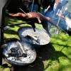Bild: Partybilder der Party: Herrentags-Frhschoppen mit erotischer Modenschau! am 05.05.2016 in DE | Mecklenburg-Vorpommern | Rostock | Rostock