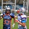 Bild: Partybilder der Party: Rostock Griffins vs. Berlin Bears am 11.06.2016 in DE | Mecklenburg-Vorpommern | Rostock | Rostock