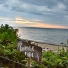 Bild: Partybilder der Party: Hai am Strand am 01.07.2016 in DE | Mecklenburg-Vorpommern | Rostock | Bad Doberan