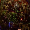 Bild: Partybilder der Party: Welcome to the Jungle am 20.01.2017 in DE | Niedersachsen | Leer | Leer