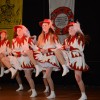 Bild: Partybilder der Party: Narrenbaumstellen " Narrenzunpft Moorochs" am 11.02.2017 in DE | Baden-Wrttemberg | Biberach | Bad Buchau