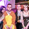 Bild: Partybilder der Party: Loidiga-Nacht in Gosbach am 11.02.2017 in DE | Baden-Wrttemberg | Gppingen | Bad Ditzenbach