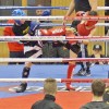 BinPartyGeil.de Fotos - Zam-Zam Fightnight 2017 am 18.03.2017 in DE-Ulm