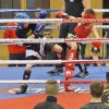 BinPartyGeil.de Fotos - Zam-Zam Fightnight 2017 am 18.03.2017 in DE-Ulm