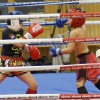 Bild: Partybilder der Party: Zam-Zam Fightnight 2017 am 18.03.2017 in DE | Baden-Wrttemberg | Ulm | Ulm