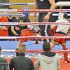 BinPartyGeil.de Fotos - Zam-Zam Fightnight 2017 am 18.03.2017 in DE-Ulm