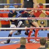 BinPartyGeil.de Fotos - Zam-Zam Fightnight 2017 am 18.03.2017 in DE-Ulm