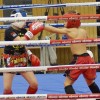 BinPartyGeil.de Fotos - Zam-Zam Fightnight 2017 am 18.03.2017 in DE-Ulm