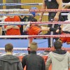 BinPartyGeil.de Fotos - Zam-Zam Fightnight 2017 am 18.03.2017 in DE-Ulm