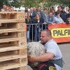 Bild: Partybilder der Party: Truckertreffen Munderkingen 2017 ~ Strongman ~ am 02.07.2017 in DE | Baden-Wrttemberg | Alb-Donau-Kreis | Munderkingen