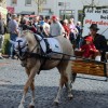 BinPartyGeil.de Fotos - Schussenrieder Oktoberfest - Das Brauereifest in Oberschwaben vom 29.9.-3.10.2017 am 03.10.2017 in DE-Bad Schussenried