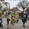 BinPartyGeil.de Fotos - Hhepunkt bei der Narrenzunft Feuerhexen Bad Buchau e.V. ist dann der Feuerhexen-Umzug am 20.01.2018 in DE-Bad Buchau