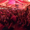Bild: Partybilder der Party: Kreismusikfest Musikkapelle Kirchen - PARTY-PALMEN-BLASMUSIK - Mickie Krause, Tobee & Notausgang am 09.06.2018 in DE | Baden-Wrttemberg | Alb-Donau-Kreis | Ehingen a.d. Donau
