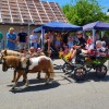 Bild: Partybilder der Party: Festumzug - Kinderfest Altshausen vom 23. bis 26. Juni 2023 am 25.06.2023 in DE | Baden-Wrttemberg | Ravensburg | Altshausen