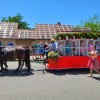 Bild: Partybilder der Party: Festumzug - Kinderfest Altshausen vom 23. bis 26. Juni 2023 am 25.06.2023 in DE | Baden-Wrttemberg | Ravensburg | Altshausen