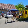 Bild: Partybilder der Party: Festumzug - Kinderfest Altshausen vom 23. bis 26. Juni 2023 am 25.06.2023 in DE | Baden-Württemberg | Ravensburg | Altshausen