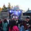 Bild: Partybilder der Party: INSELVERBOT - Die Malleparty auf der Alm am 11.05.2024 in DE | Brandenburg | Potsdam-Mittelmark | Werder (Havel)