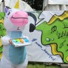 Bild: Partybilder der Party: 59. Havelfest in Brandenburg an der Havel (STWB-Bhne) am 23.06.2024 in DE | Brandenburg | Brandenburg | Brandenburg an der Havel