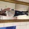 Leamiske, 25 Jahre aus 18055, 18057, 18059, 18069, 18106, 18 Rostock (Rostock) - ist weiblich, hat den Flirtstatus: vergeben und ist Partygnger